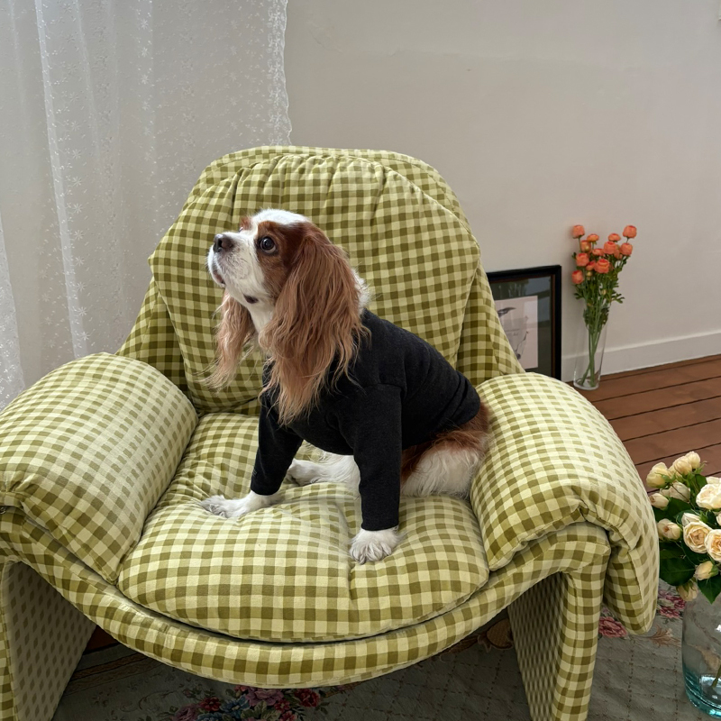 [NEW신상][무료배송] 해피댕댕 이너티셔츠 6종 (챠콜,그레이,핑크,옐로우,민트,화이트) XS-3XL 26번째