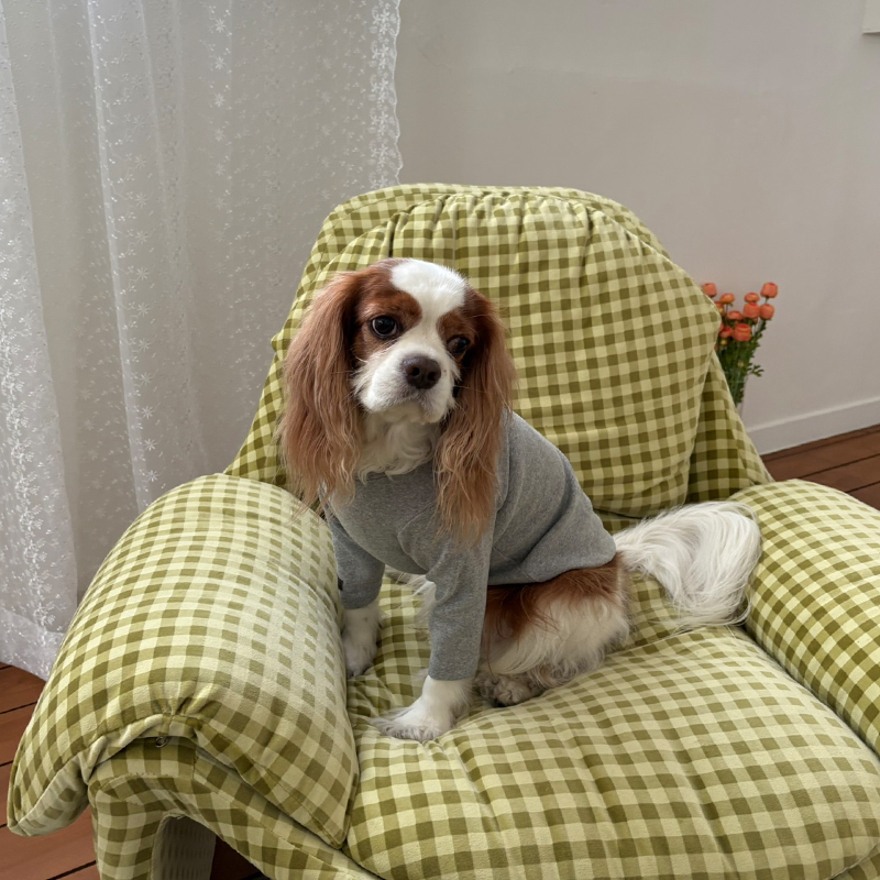 [NEW신상][무료배송] 해피댕댕 이너티셔츠 6종 (챠콜,그레이,핑크,옐로우,민트,화이트) XS-3XL 23번째