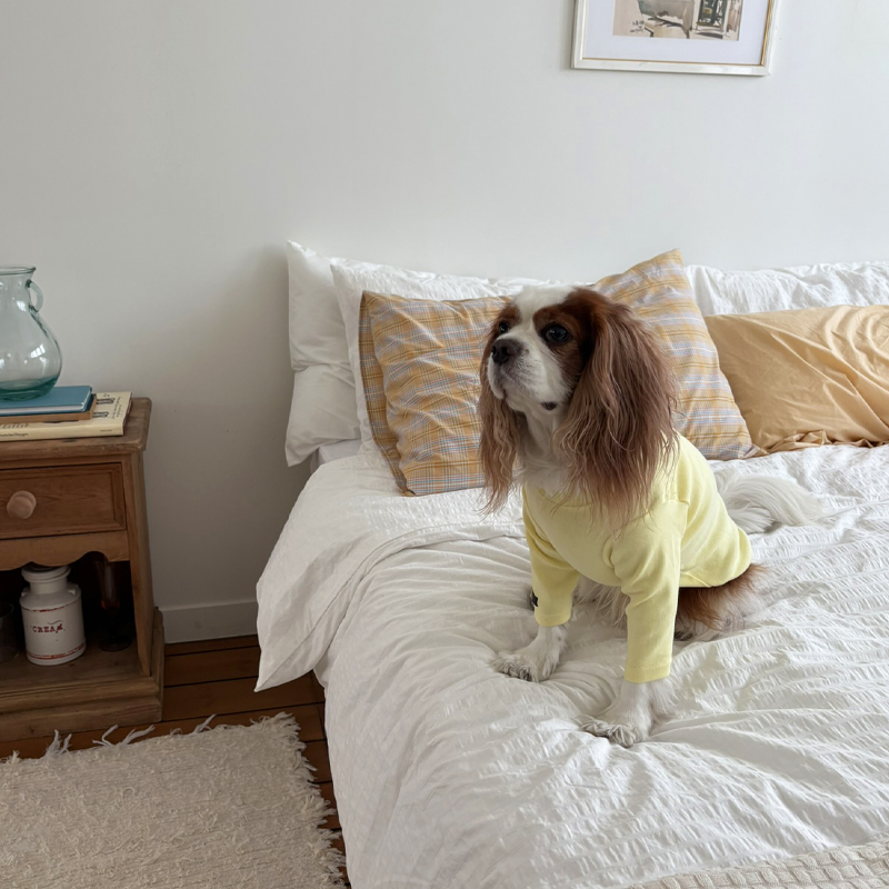 [NEW신상][무료배송] 해피댕댕 이너티셔츠 6종 (챠콜,그레이,핑크,옐로우,민트,화이트) XS-3XL 7번째