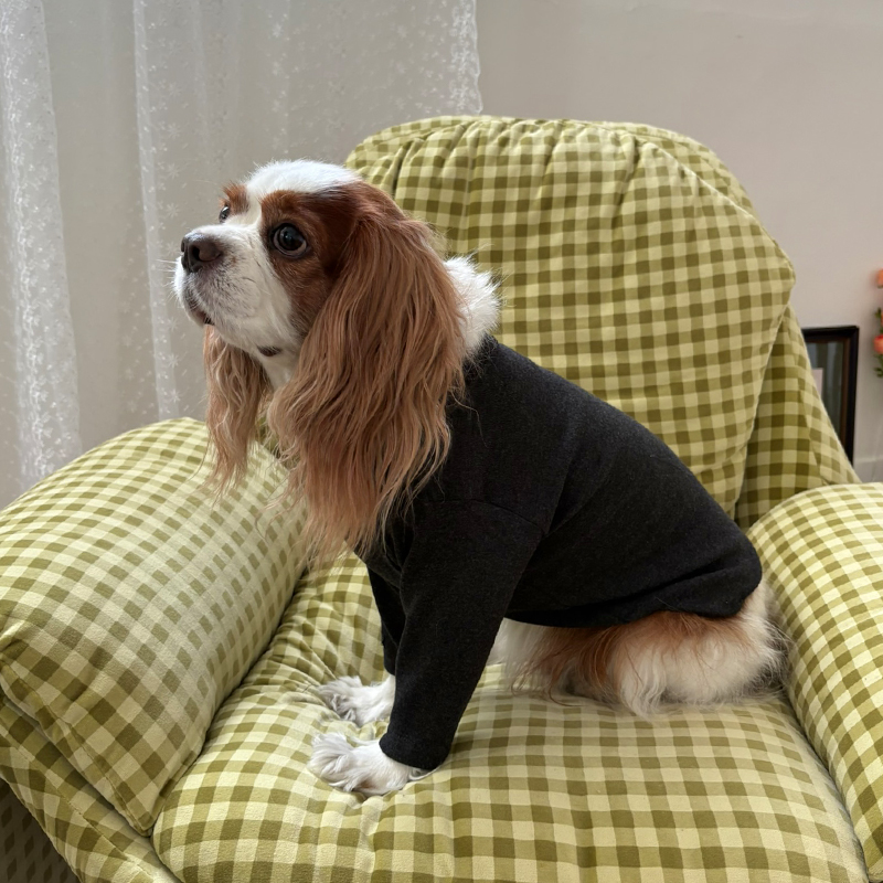 [NEW신상][무료배송] 해피댕댕 이너티셔츠 6종 (챠콜,그레이,핑크,옐로우,민트,화이트) XS-3XL 27번째