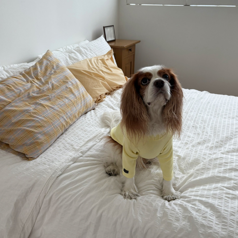 [NEW신상][무료배송] 해피댕댕 이너티셔츠 6종 (챠콜,그레이,핑크,옐로우,민트,화이트) XS-3XL 6번째