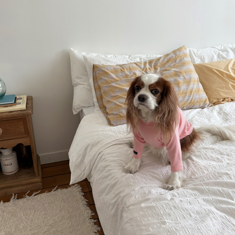 [NEW신상][무료배송] 해피댕댕 이너티셔츠 6종 (챠콜,그레이,핑크,옐로우,민트,화이트) XS-3XL 15번째