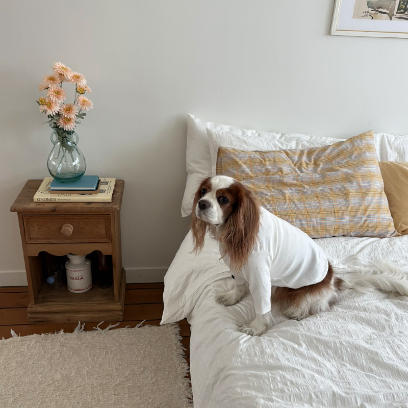 [NEW신상][무료배송] 해피댕댕 이너티셔츠 6종 (챠콜,그레이,핑크,옐로우,민트,화이트) XS-3XL 12번째