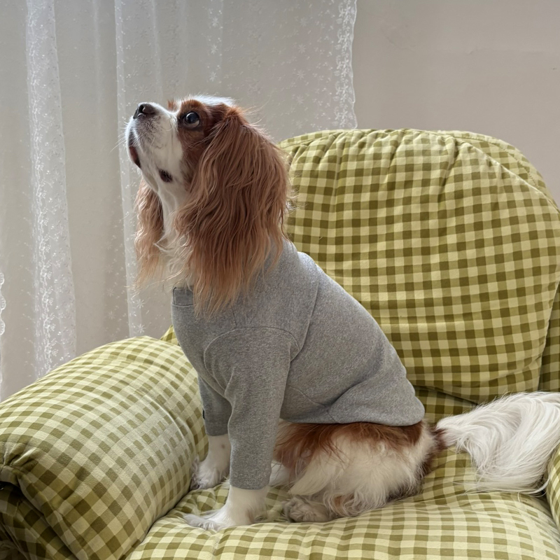 [NEW신상][무료배송] 해피댕댕 이너티셔츠 6종 (챠콜,그레이,핑크,옐로우,민트,화이트) XS-3XL 22번째