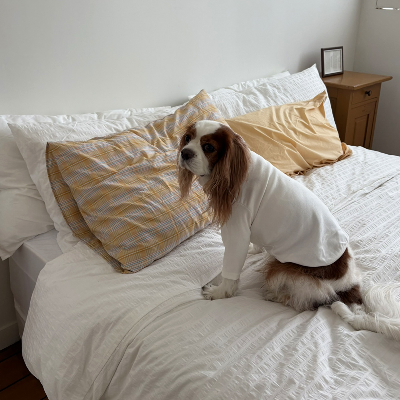 [NEW신상][무료배송] 해피댕댕 이너티셔츠 6종 (챠콜,그레이,핑크,옐로우,민트,화이트) XS-3XL 10번째