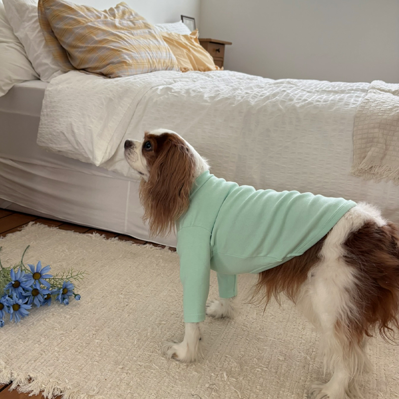 [NEW신상][무료배송] 해피댕댕 이너티셔츠 6종 (챠콜,그레이,핑크,옐로우,민트,화이트) XS-3XL 20번째