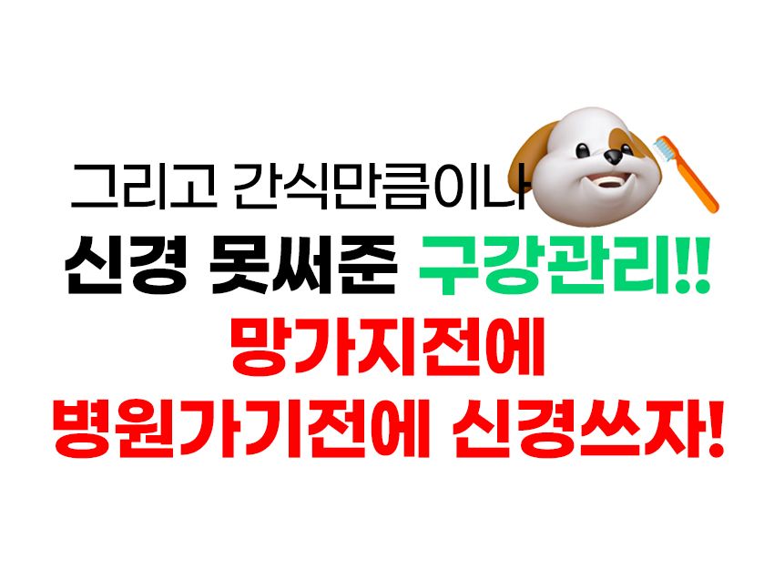 [무료배송] 멍멍아띠 유산균 2g*30P 25번째