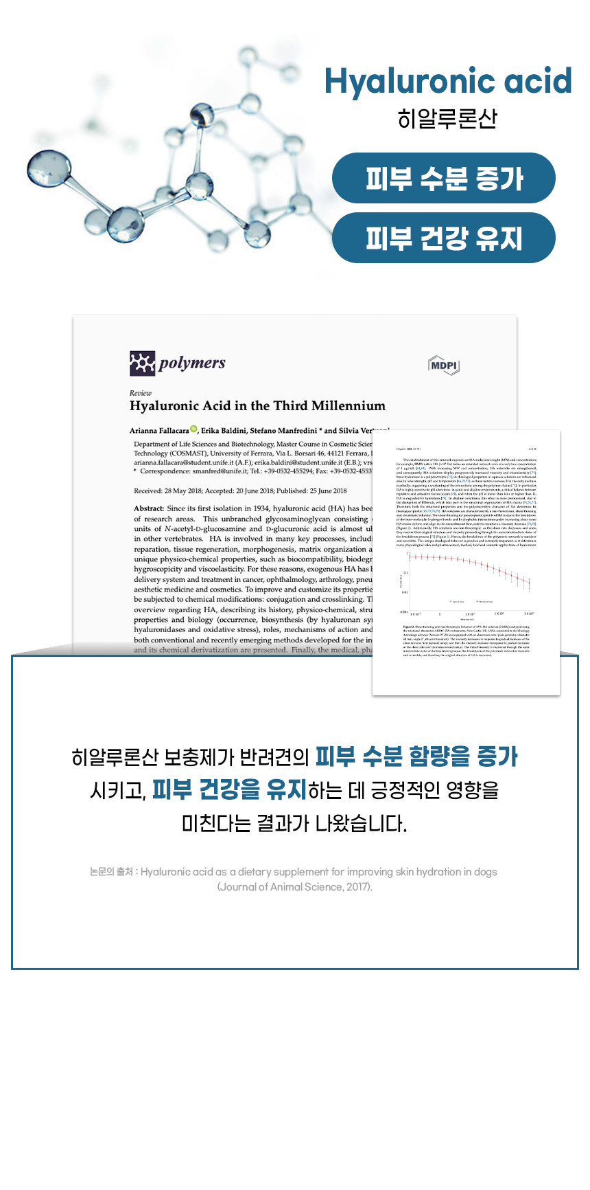 [무료배송] [1+1] 더보양 독 올데이31 뉴스킨 피모 영양제 160정 21번째