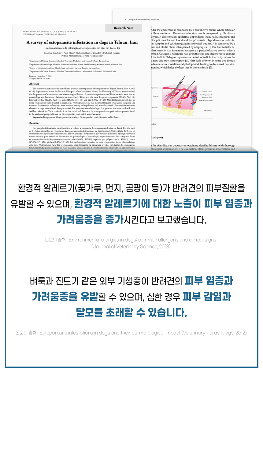 [무료배송] [1+1] 더보양 독 올데이31 뉴스킨 피모 영양제 160정 11번째