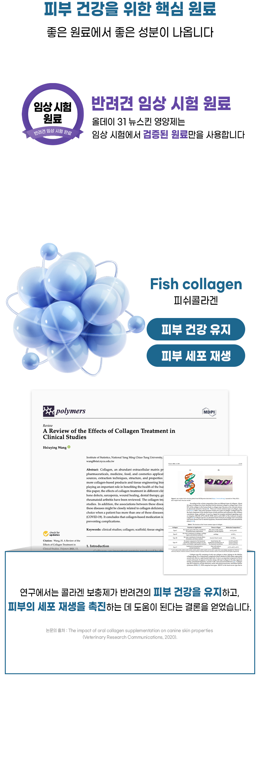 [무료배송] [1+1] 더보양 독 올데이31 뉴스킨 피모 영양제 160정 18번째