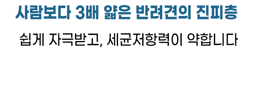 [무료배송] [1+1] 더보양 독 올데이31 뉴스킨 피모 영양제 160정 5번째