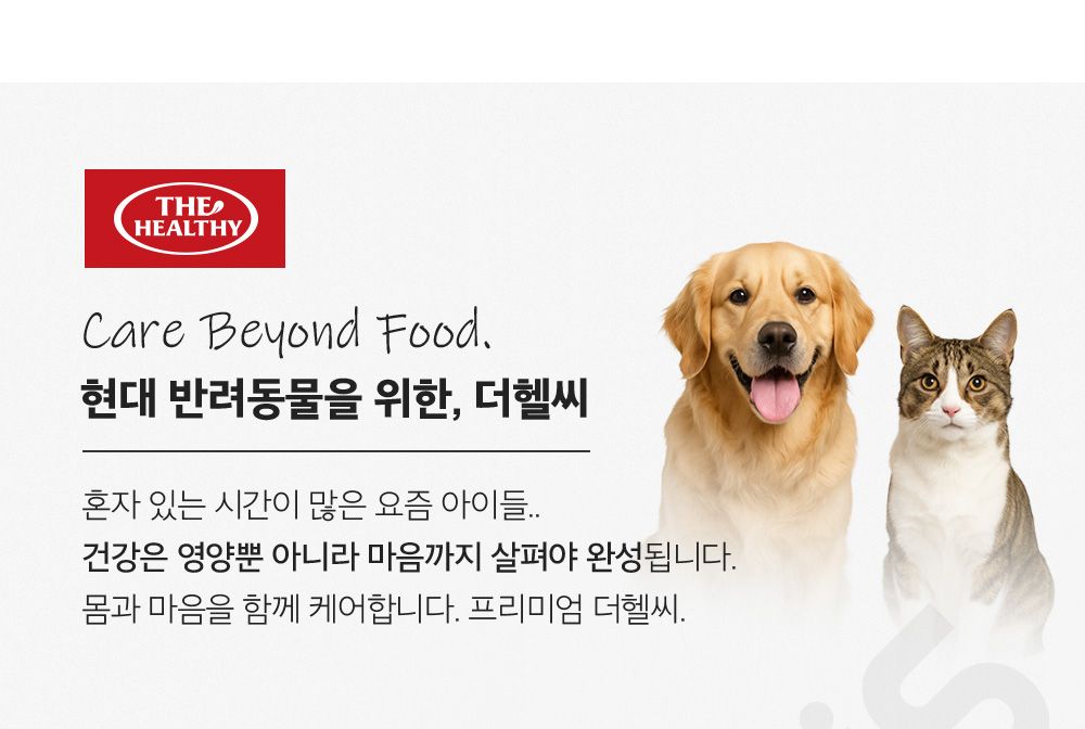 [체험단] 더헬씨 파우팩트 츄 가수분해 덴탈껌 소고기맛 20g 1번째