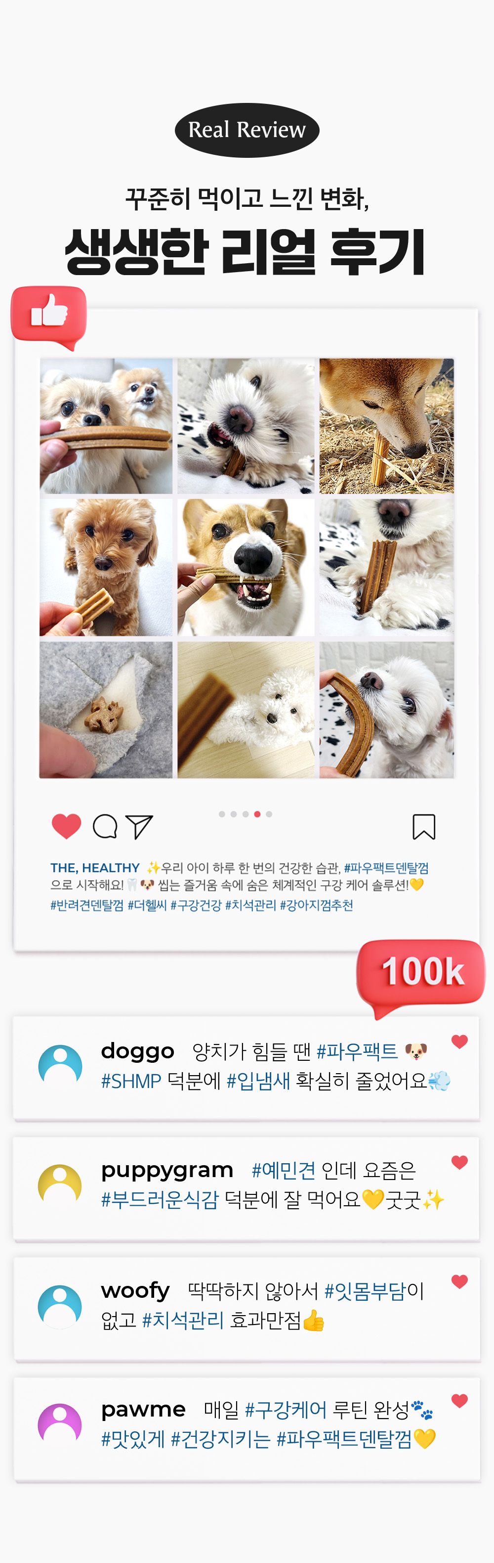 [체험단] 더헬씨 파우팩트 츄 가수분해 덴탈껌 소고기맛 20g 5번째