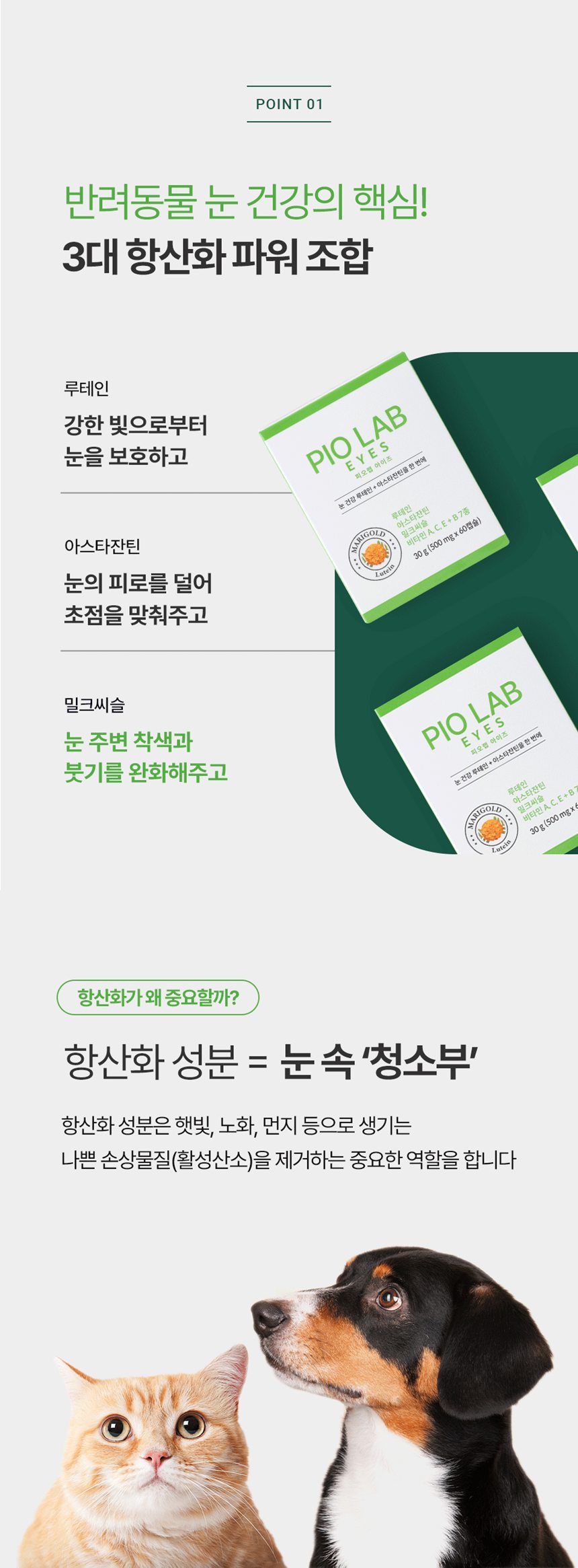 [NEW신상][무료배송] 피오랩 아이즈 눈 건강 영양제 60캡슐 9번째