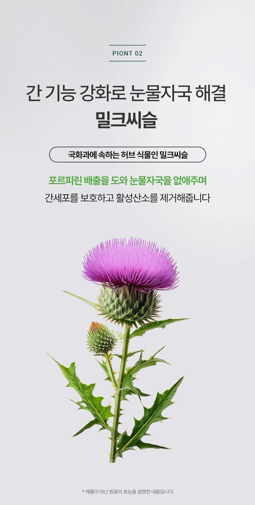 [NEW신상][무료배송] 피오랩 아이즈 눈 건강 영양제 60캡슐 13번째