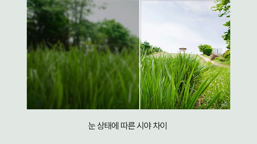 [NEW신상][무료배송] 피오랩 아이즈 눈 건강 영양제 60캡슐 6번째