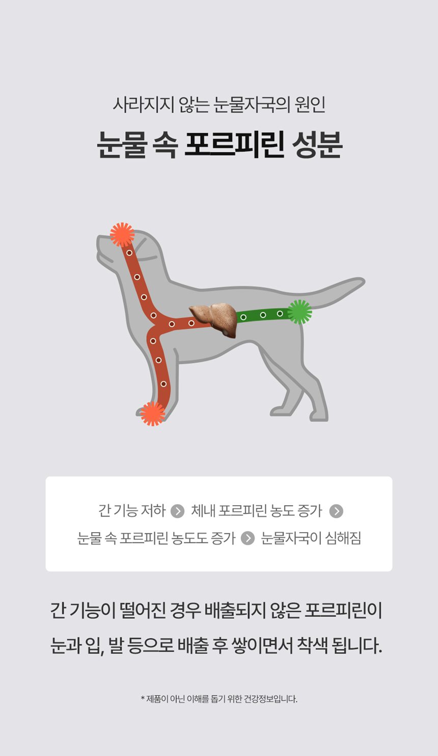 [NEW신상][무료배송] 피오랩 아이즈 눈 건강 영양제 60캡슐 12번째