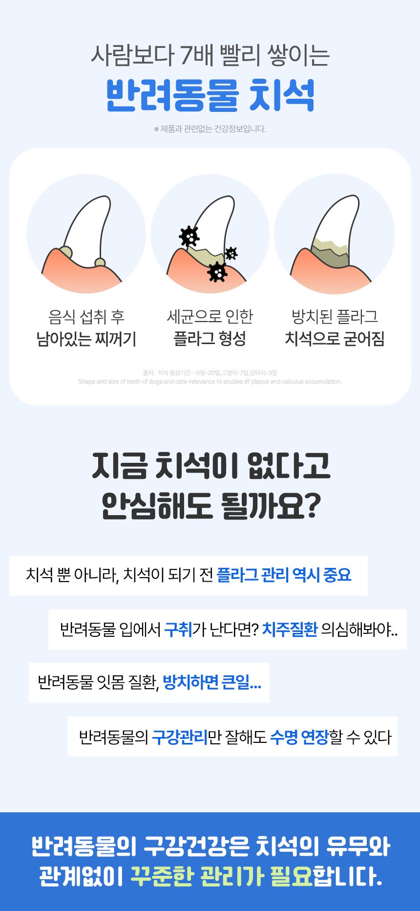 펫생각 독 하루치카 덴탈껌 [모음] 11번째