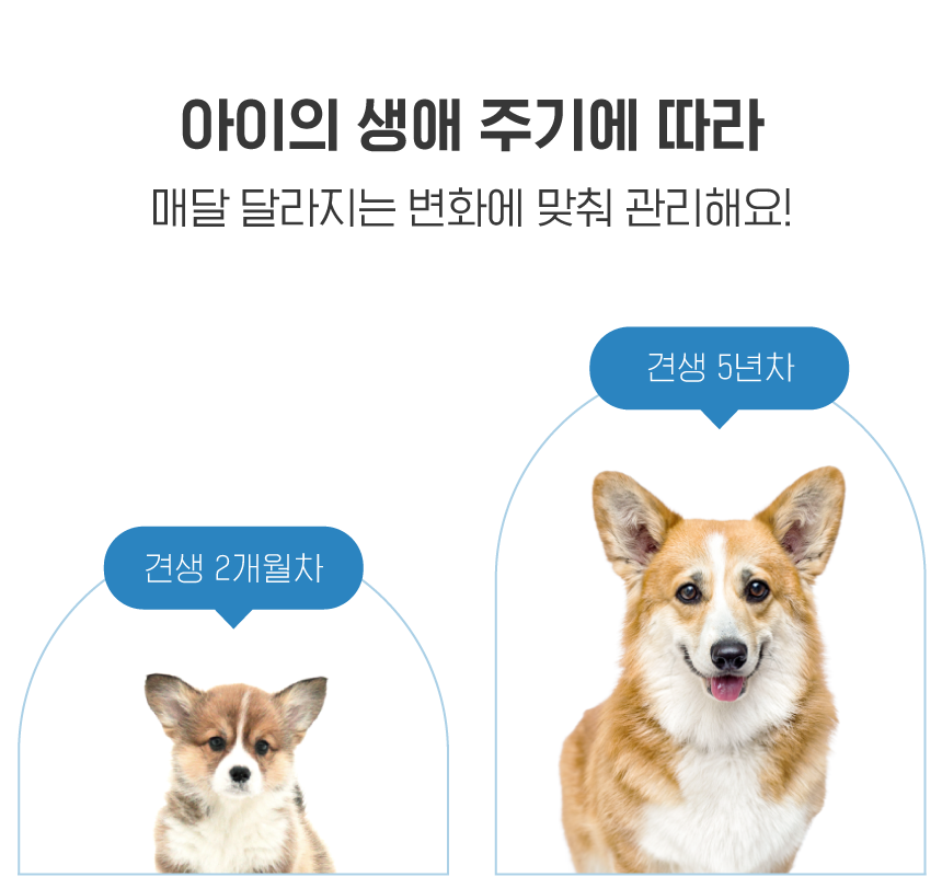 [무료배송] 바램펫 스마트 자동 급식기 밀리 13번째