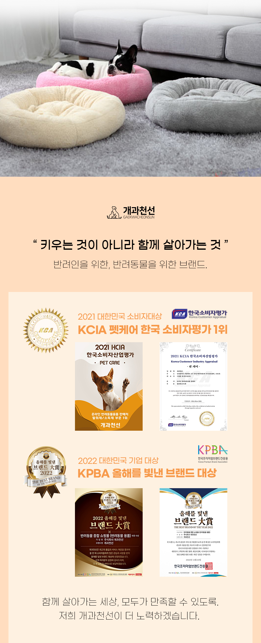 [NEW신상][무료배송] 개과천선 비드 원 방석 (아이보리/핑크/그레이) 3번째