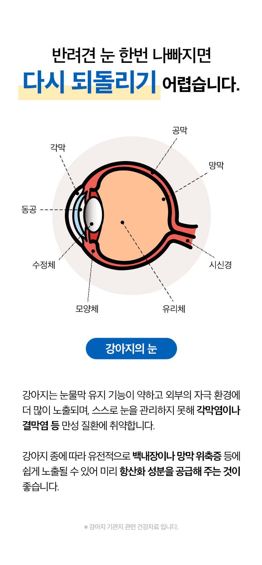[무료배송] 목우촌 펫9단 독 바이오아이즈 눈 영양제 100g 4번째