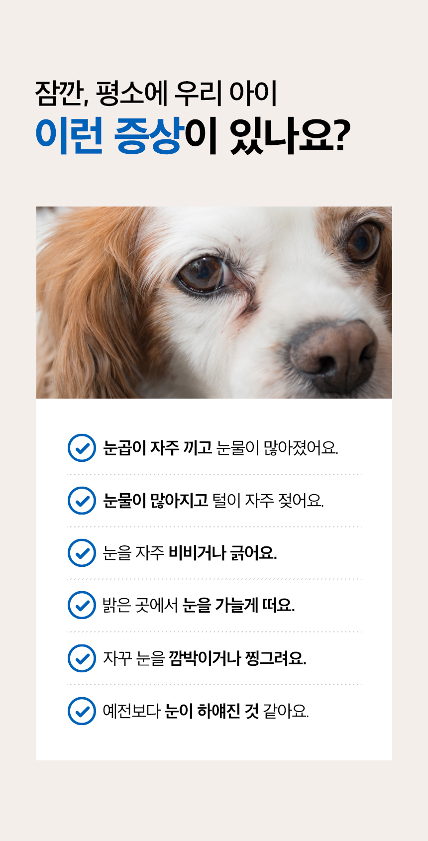 [무료배송] 목우촌 펫9단 독 바이오아이즈 눈 영양제 100g 3번째