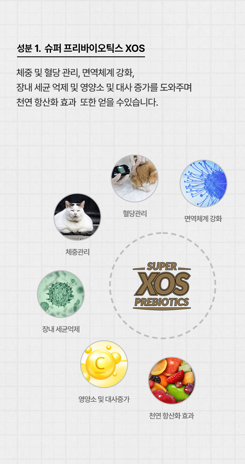 [무료배송] 리플렉스 플러스 캣 키튼 치킨 1.5kg 13번째