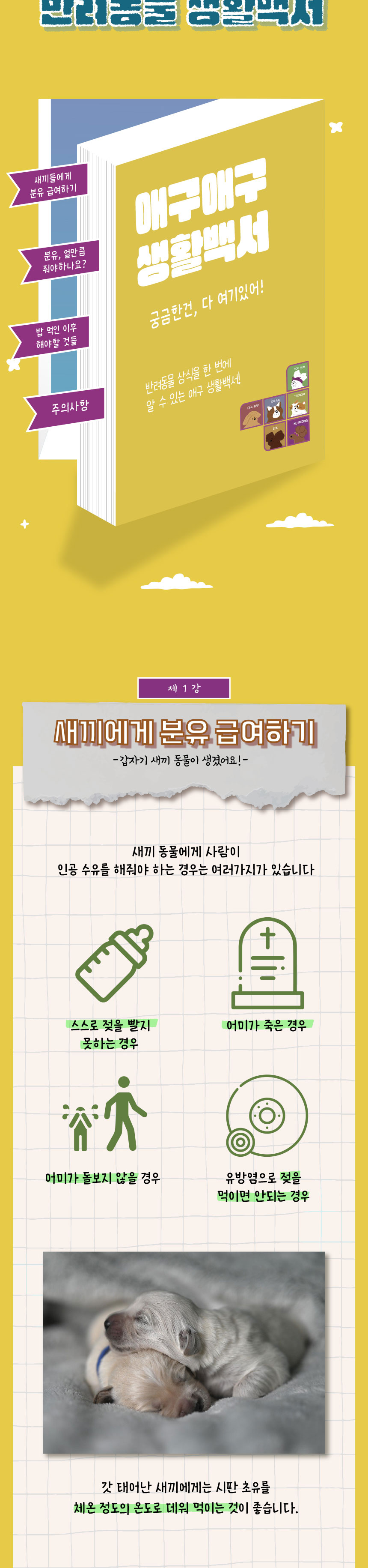 [무료배송] 애구애구 강아지 고양이 젖병 세트 3번째
