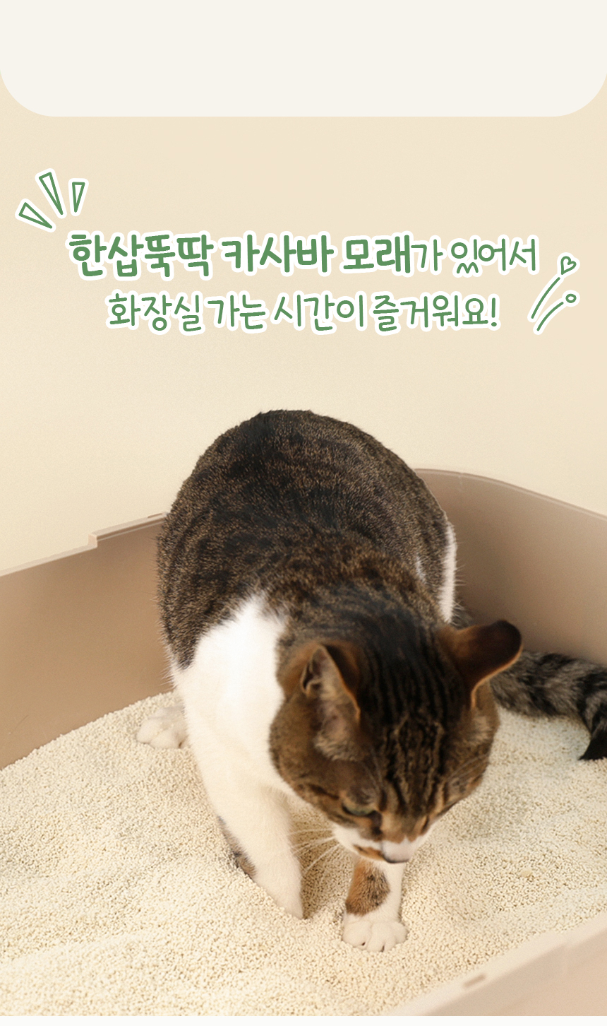 [NEW신상][무료배송] 한삽뚝딱 카사바 고양이 모래 무향 3.2kg 27번째