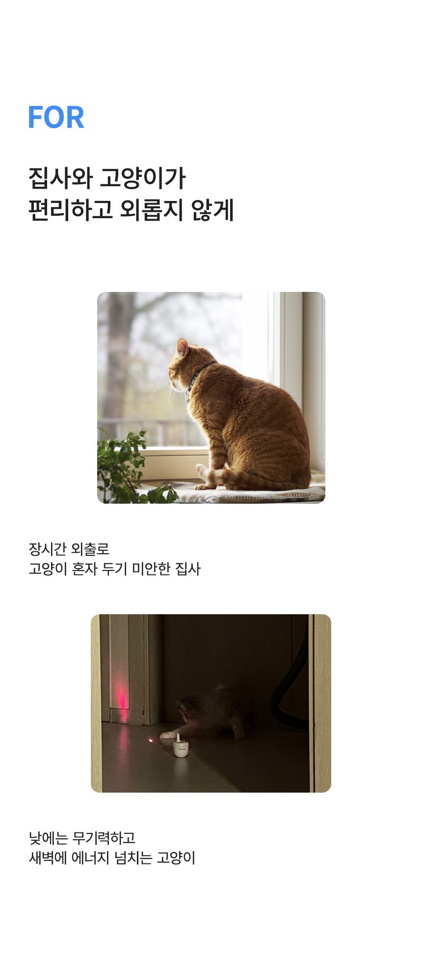 내꼬냥 스마트 자동 레이저 토이 텀블러 5번째