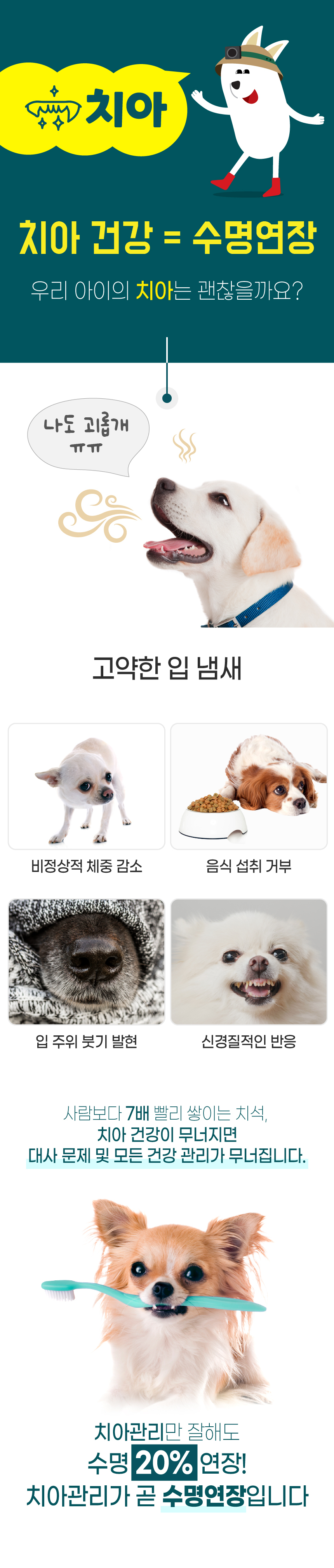 [무료배송] 벨라맥스 SBS TV 동물농장 덴탈껌 강아지 치석 양치 입냄새 제거 160g 2번째