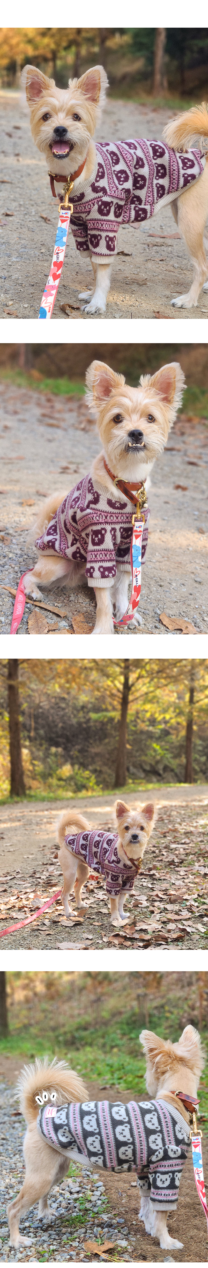 [무료배송] 꾸무꾸지 곰 기모 니트 베이지 XS-7XL 2번째