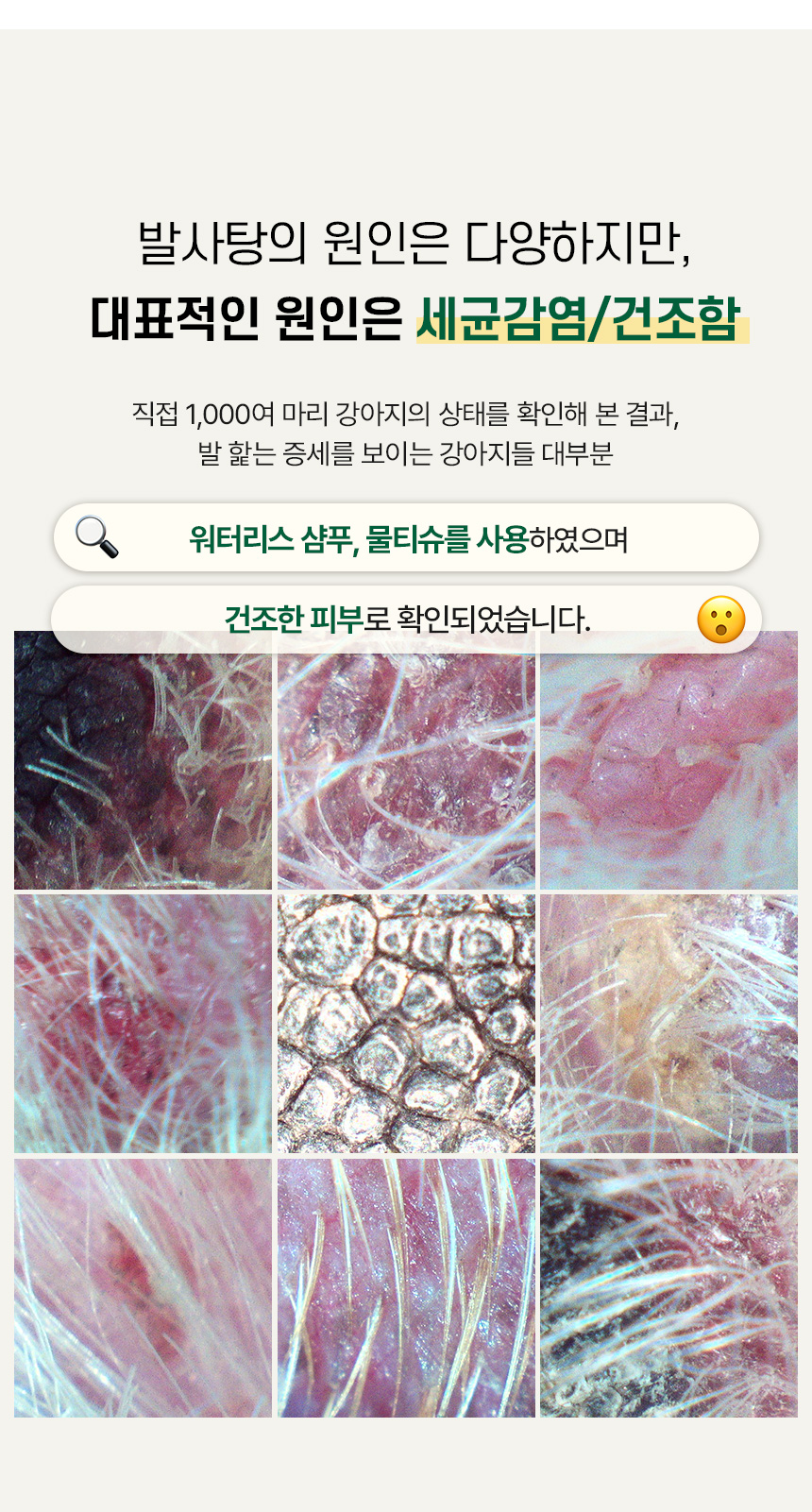 [무료배송] 마이플러피 플러피케어 버블 발샴푸 300ml 3번째