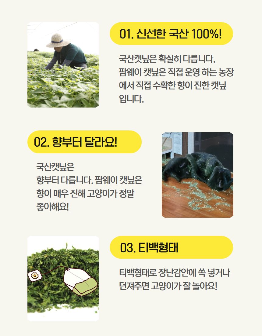 [NEW신상]팜웨이 캣닢티백 8p  6번째