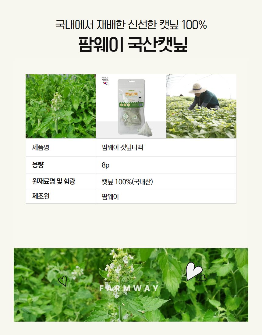 [NEW신상]팜웨이 캣닢티백 8p  10번째