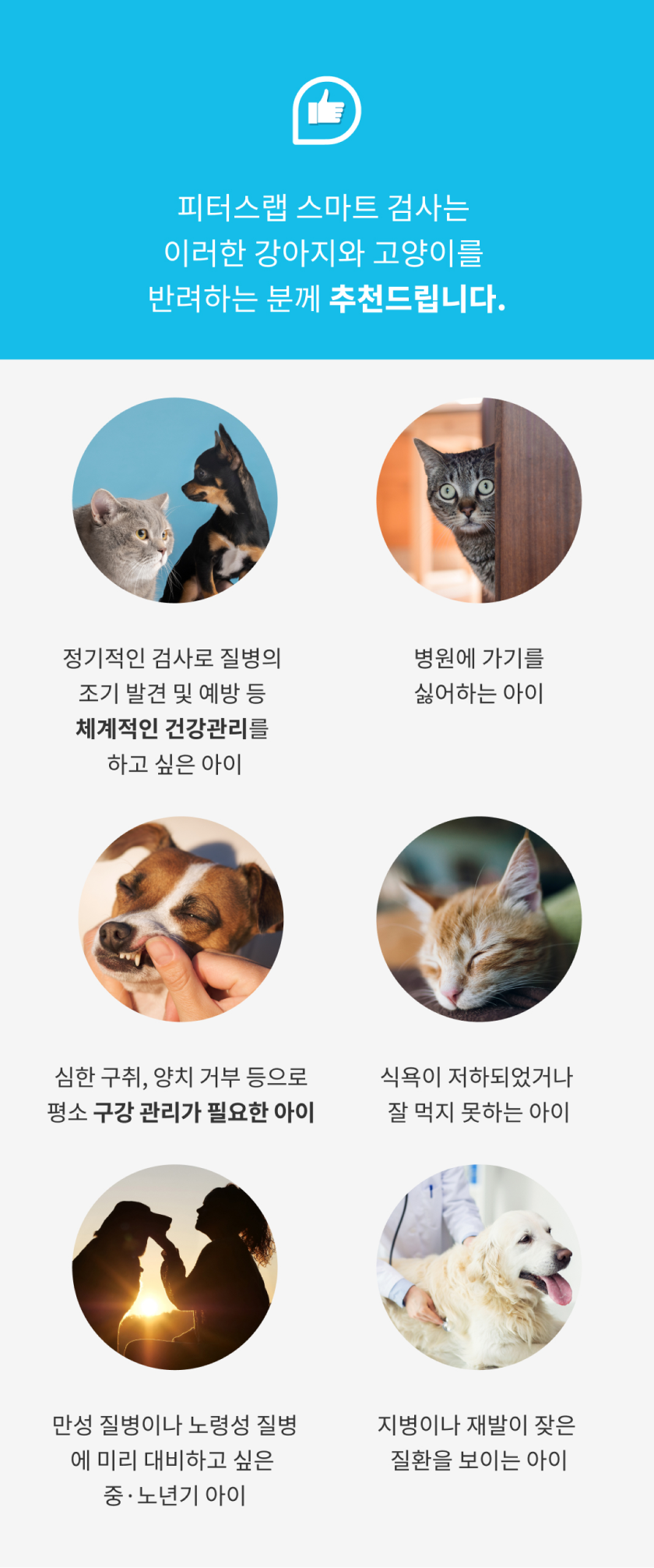 [무료배송] 피터스랩 독 유전자검사 질병위험 건강검진키트 18번째