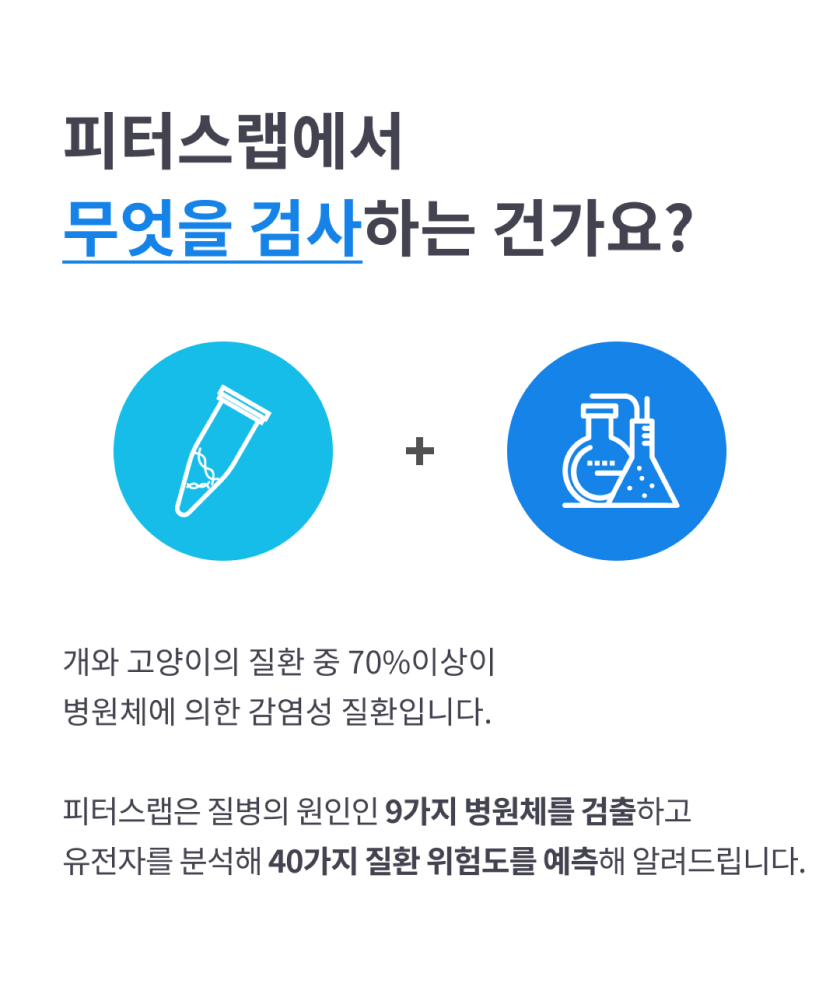 [무료배송] 피터스랩 독 유전자검사 질병위험 건강검진키트 4번째