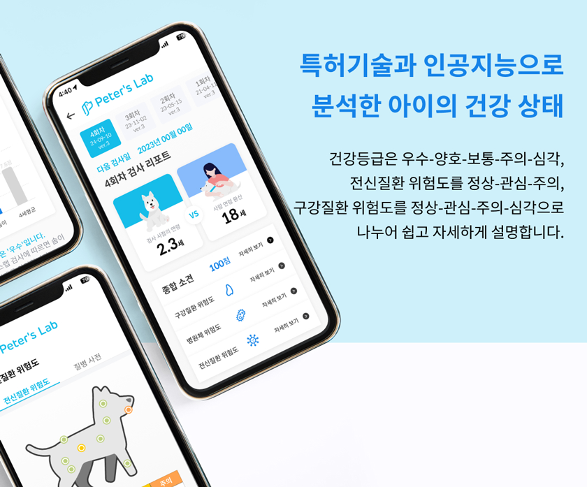 [무료배송] 피터스랩 독 유전자검사 질병위험 건강검진키트 12번째