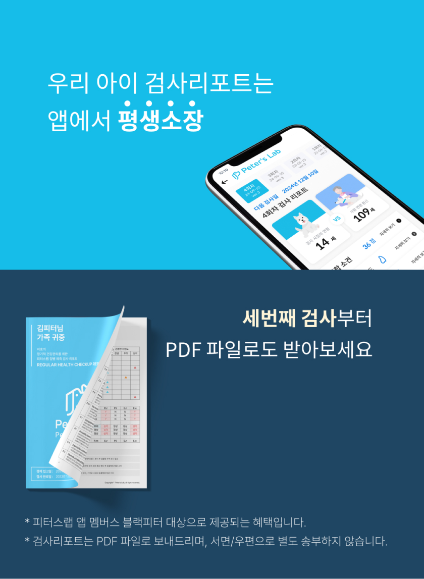 [무료배송] 피터스랩 독 유전자검사 질병위험 건강검진키트 11번째