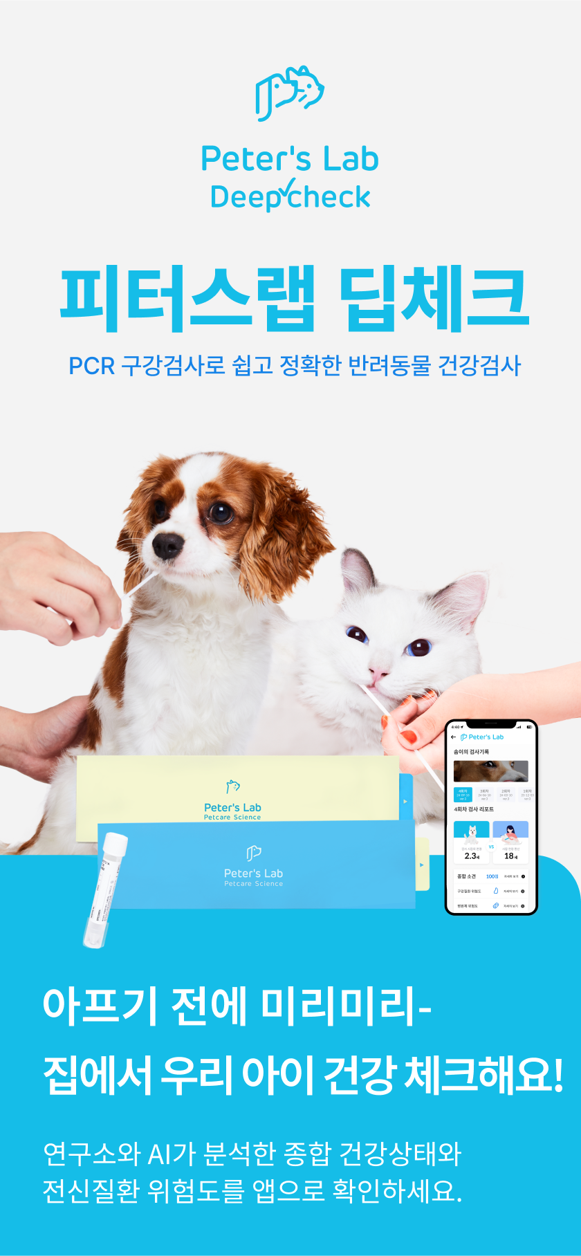 [무료배송] 피터스랩 독 유전자검사 질병위험 건강검진키트 3번째