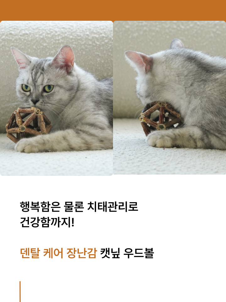 [NEW신상][무료배송] 캣디피 캣닢 마따따비 우드볼 장난감 37번째