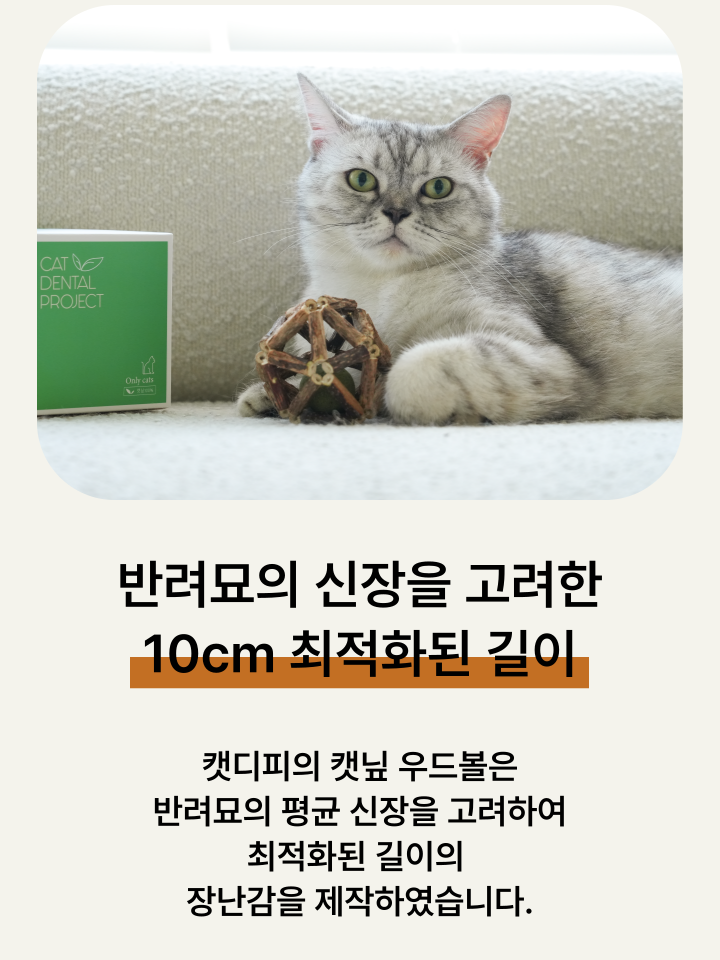 [NEW신상][무료배송] 캣디피 캣닢 마따따비 우드볼 장난감 32번째