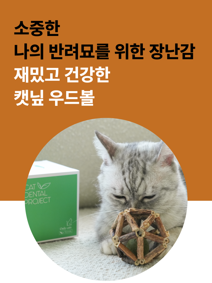 [NEW신상][무료배송] 캣디피 캣닢 마따따비 우드볼 장난감 2번째