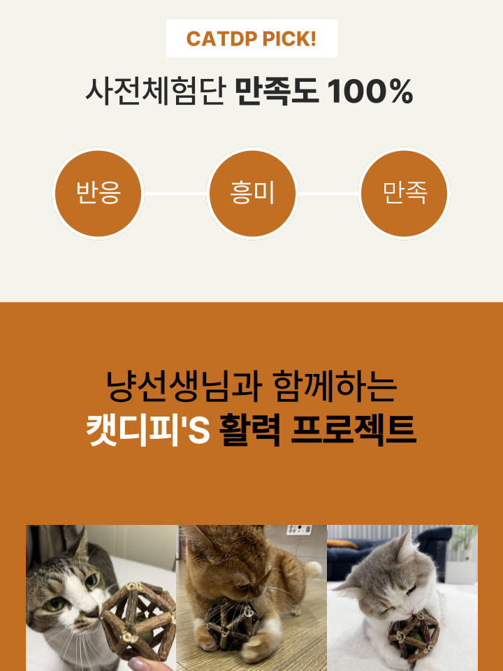 [NEW신상][무료배송] 캣디피 캣닢 마따따비 우드볼 장난감 13번째