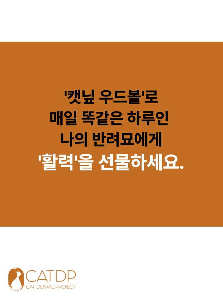 [NEW신상][무료배송] 캣디피 캣닢 마따따비 우드볼 장난감 3번째