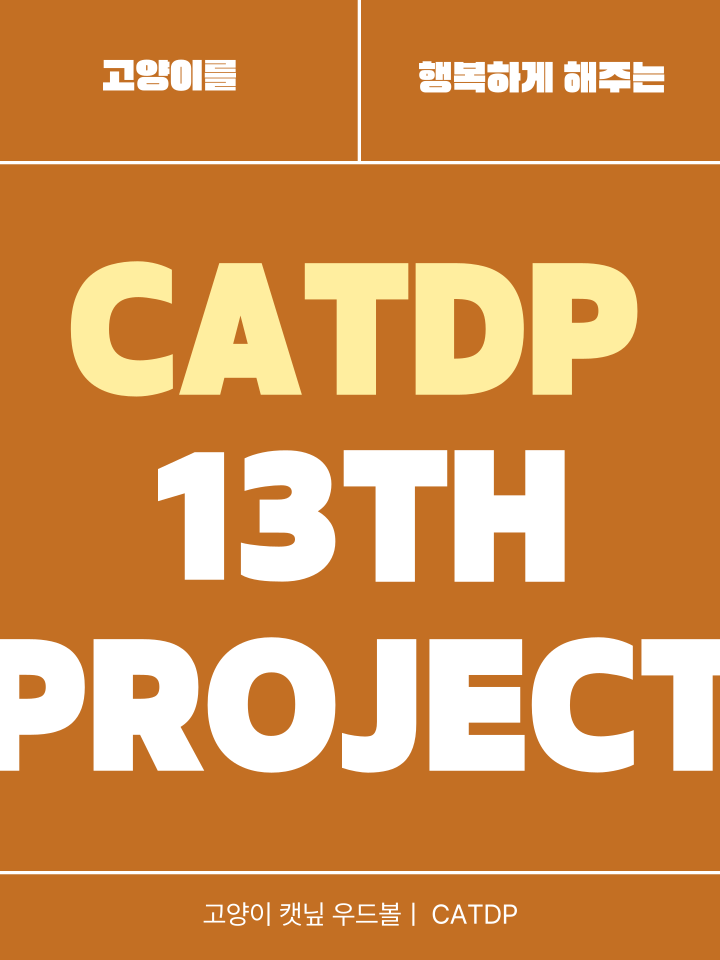 [NEW신상][무료배송] 캣디피 캣닢 마따따비 우드볼 장난감 1번째