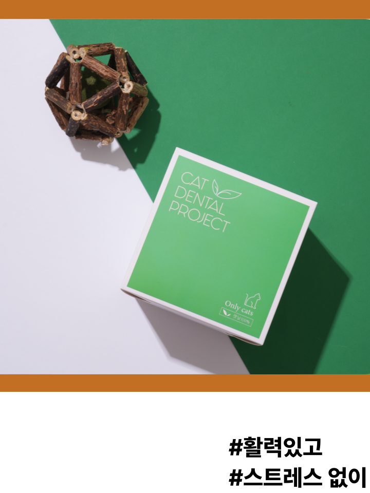 [NEW신상][무료배송] 캣디피 캣닢 마따따비 우드볼 장난감 4번째