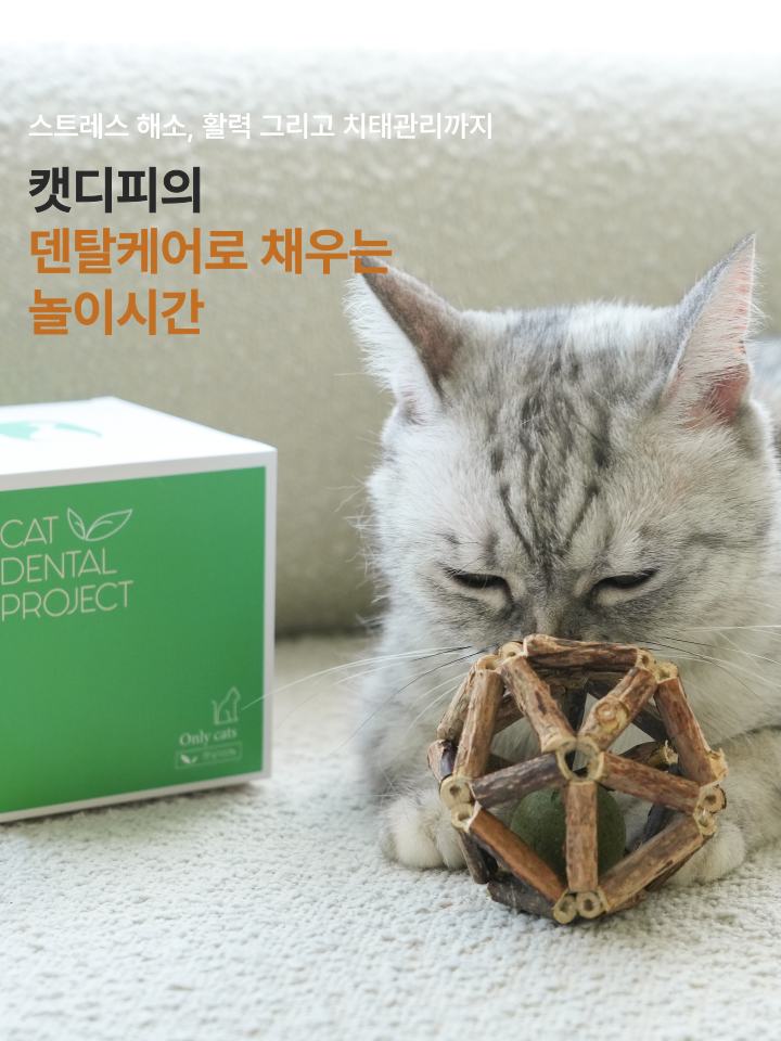 [NEW신상][무료배송] 캣디피 캣닢 마따따비 우드볼 장난감 12번째