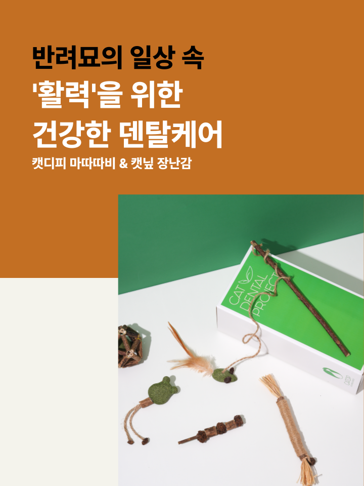 [NEW신상][무료배송] 캣디피 캣닢 마따따비 우드볼 장난감 39번째