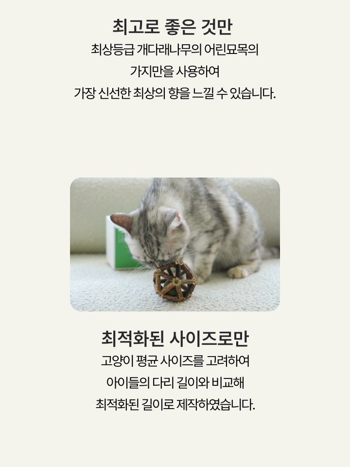 [NEW신상][무료배송] 캣디피 캣닢 마따따비 우드볼 장난감 10번째